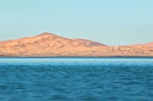 Sebkhet el Melah, Béchar, Algérie