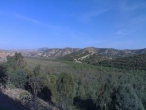 Koudiat Ben berda - début Barrage Fergoug