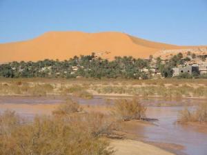 Une Palmeraie de Beni-Abbes