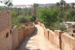 Route de la Palmeraie de Béni Abbes