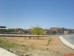 Un Croisement à Bechar
