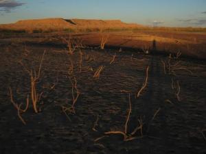 Le Barrage de Djorf Torba à Sec