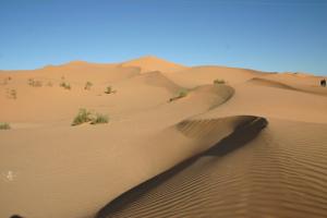 Dunes du Sahara