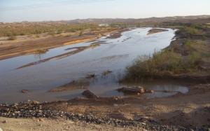 Oued Saoura dans la commune d'Igli