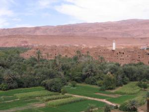 Béchar entre Oasis et Ksour
