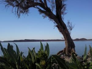 Lac de Djorf Ettorba