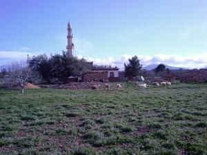 مسجد قرية العجيبة