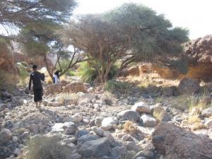 Petite balade aux alentours de Béchar