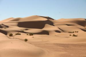 Dunes du Sahara Algérien