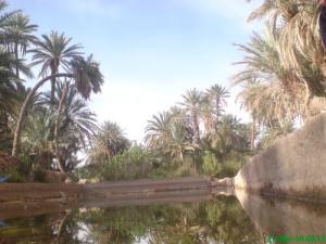 L'eau dans la culture de Lekssour (Commune de Moughel )