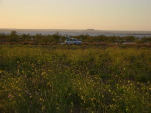 Sur la route de Béchar