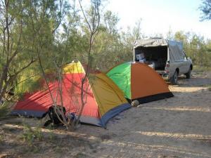 Camping à Béchar
