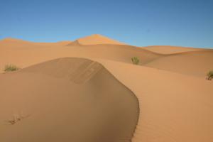 Dunes du Sahara Algérien