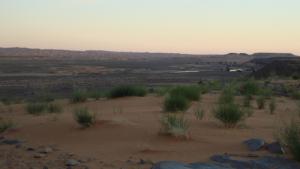 Taghit l'Enchanteresse