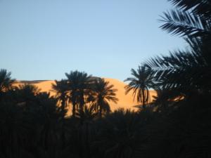 Une Palmeraie de Taghit