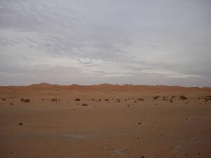 Aux abords de Taghit