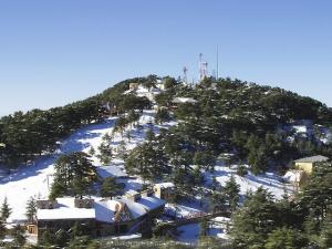 منظر جميل من غابات شريعة