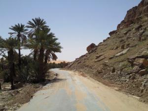 Route de la Palmeraie de Taghit