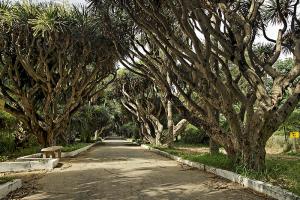 صورة من المتحف الوطني للطبيعة بالجزائر العاصمة