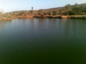 Une Guelta de Béchar