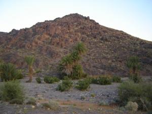 Oued el Hassra à Béchar