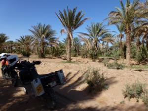 La région d'Er Remlia à Bechar