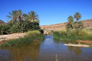 Magnifique Tableau de Béchar