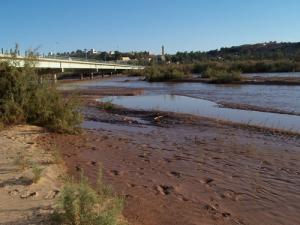 Le Oued Saoura à Beni Abbes