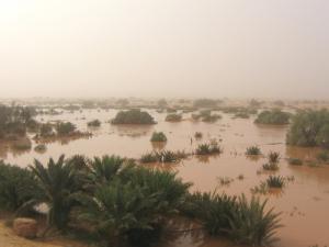 Oued Zouzfana à Igli