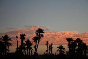 واحات منطقة تيوت