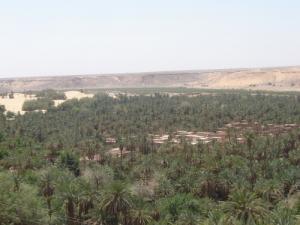 La grande palmeraie de Beni Abbes