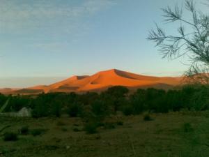 Coucher de Soleil sur les dunes de Béchar
