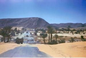 Aux environs de Oued Saoura (Commune de Kerzaz)