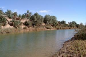 Oued Saoura traversant la commune de Kerzaz