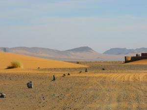 Frontière Algéro-marocaine