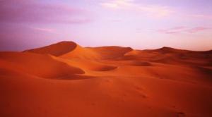 Grand Erg Occidental (Wilaya de Béchar)