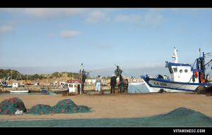 ميناء الصيد البحري قرب شاطئ المرسى الصغير