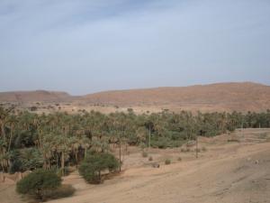 Oasis de Taghit