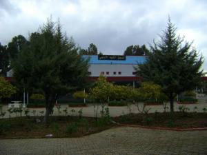 Piscine Semi Olympique de Blida
