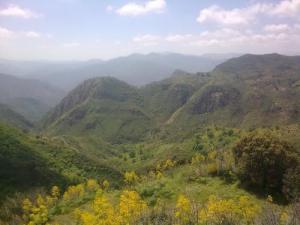 Environ de Tazarine, Bougara, (Atlas blidéen), Wilaya de Blida