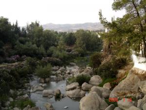 منظر طبيعي بحمام ڨرڨرور (ولاية سطيف)