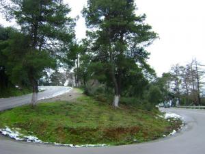 La Montagne de Chréa