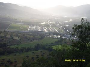 Une portion de Blida