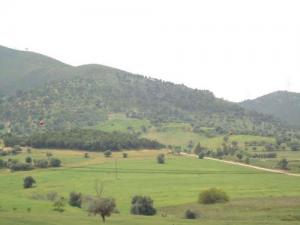 Cimetière Sidi EL-ARBI d'El Affroun