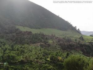 Magtaa Lazrag (Atlas blidéen), Wilaya de Blida