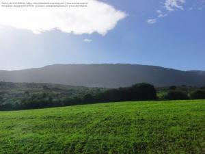 Laazayeb (Hauteurs de Amroussa - Atlas blidéen), W. de Blida