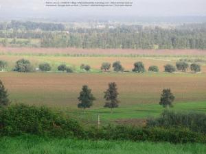 Laazayeb (Hauteurs de Amroussa - Atlas blidéen), W. de Blida