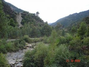 Oued près de  Beni-Misra