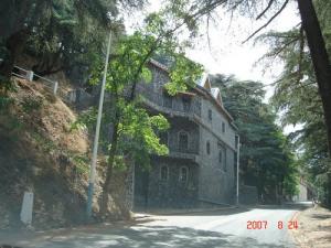 Foret de Chreah à Blida