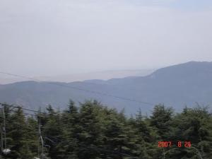 Foret de Chrea à Blida